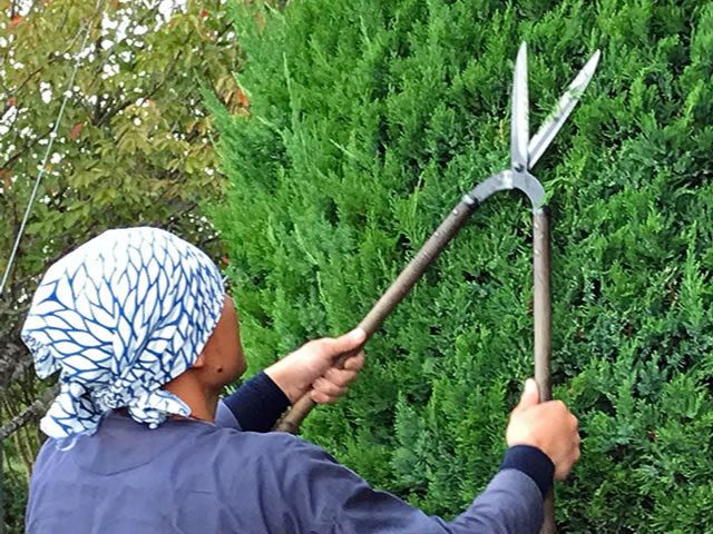 画像：庭のお手入れ